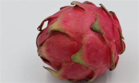 patihaya|Pitahaya (Red Dragon Fruit and Yellow Fruit) .